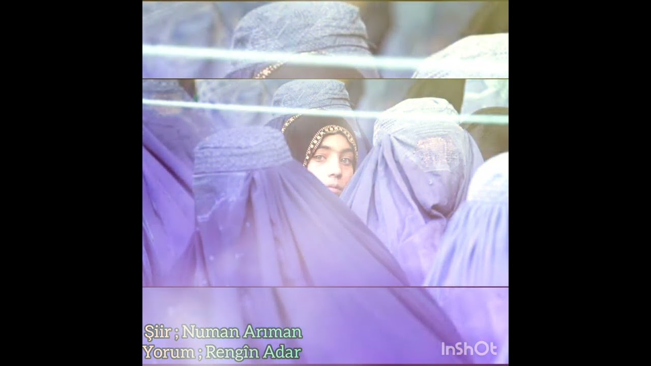 “Vera” (Şiir) Numan Arıman, Rengin Adar