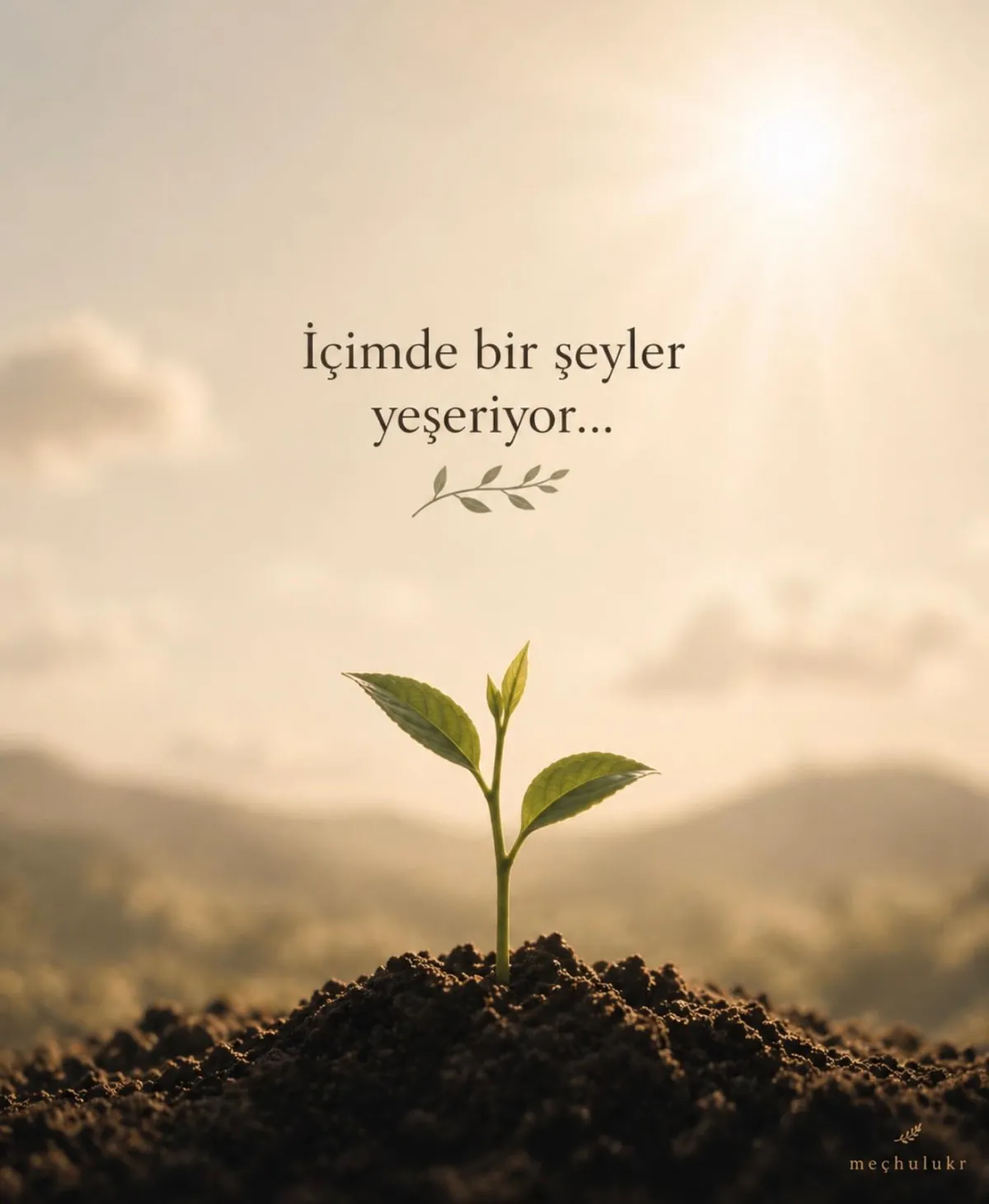İçimde Bahar Var
