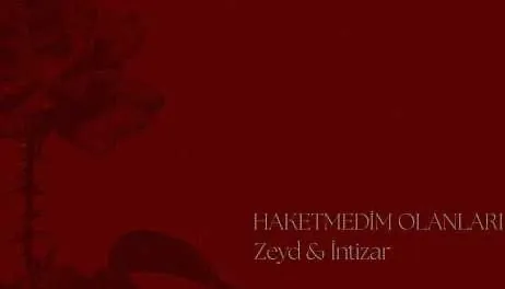 Haketmedim Olanları 